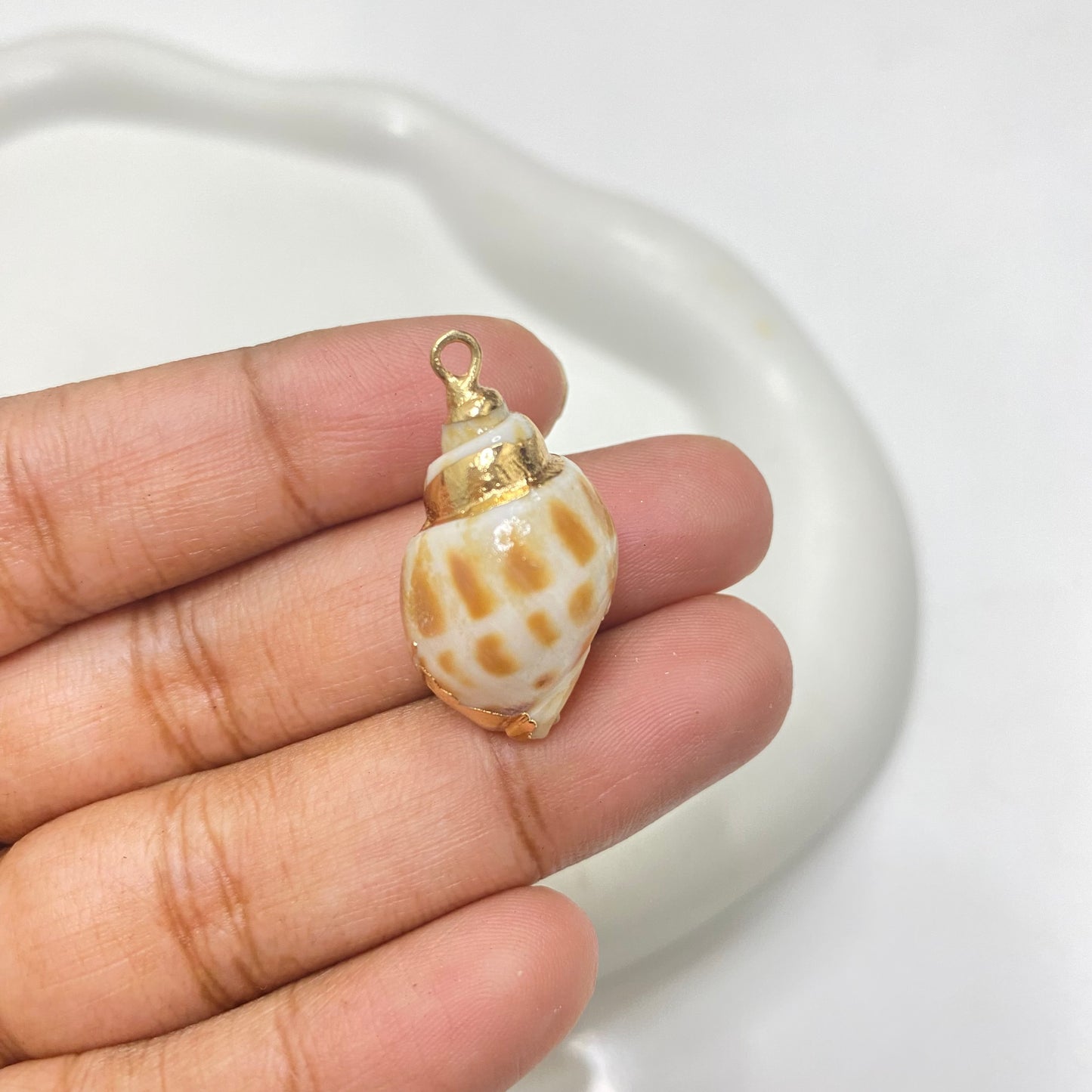 S 1337 conch shell gold plated - per piece - natural shells