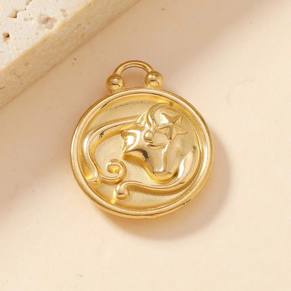 SS 1884 Virgo zodiac sign Stainless steel charm( 1 pc ) Anti tarnish