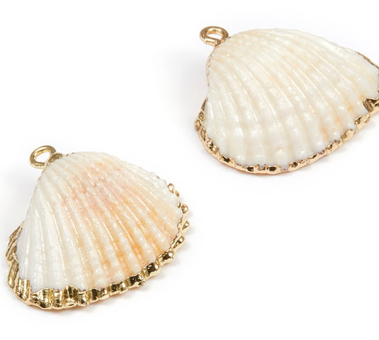 S 1766 white shell gold plated ( 1 pc ) natural shells